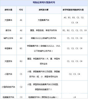 广东考车牌最新规定,广东考车牌最新规定详解