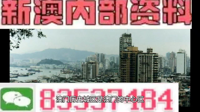 2024新澳资料免费精准051,探索未来，关于新澳资料免费精准服务的深度解析（附详细解读及展望至2024年）