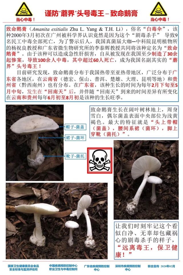 新澳门2024最快现场开奖,警惕新澳门2024最快现场开奖背后的风险与犯罪问题