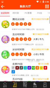 王中王493333中特1肖,王中王493333中特1肖，探寻背后的神秘与魅力