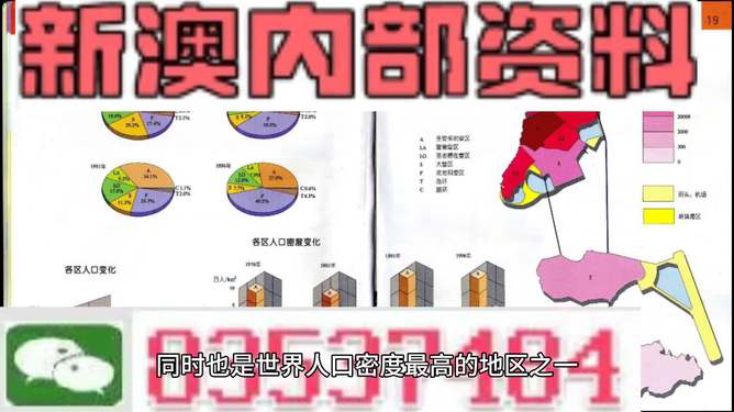 新澳门正版资料免费大全精准,新澳门正版资料免费大全精准——揭示犯罪风险与警示公众