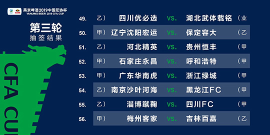 新澳2024年精准资料33期,新澳2024年精准资料33期深度解析