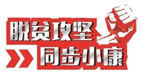 管家婆一笑一马100正确,管家婆一笑，一马当先——探寻管家婆100正确背后的智慧与魅力