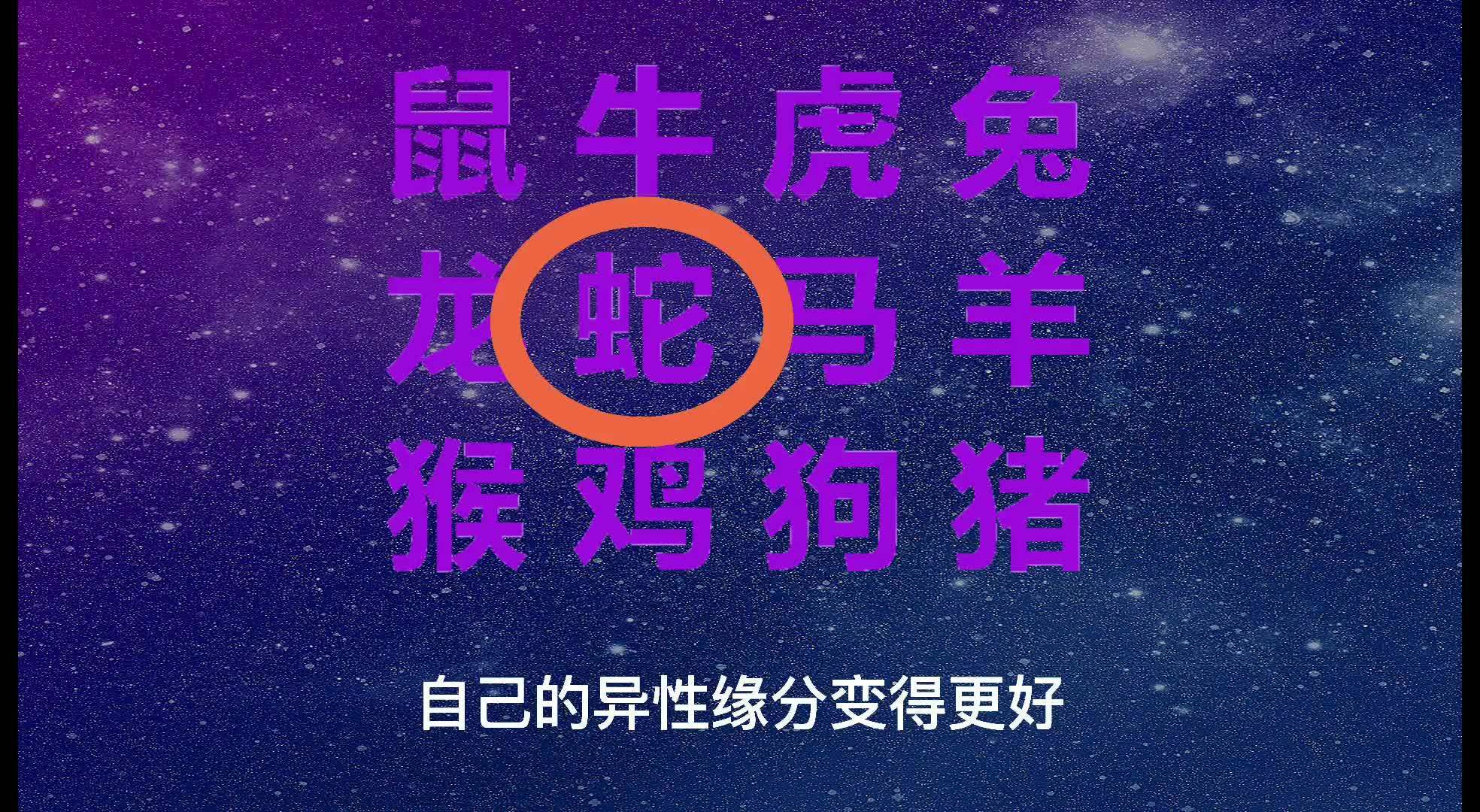 2024澳门今天晚上开什么生肖啊,澳门生肖预测与未来展望，探寻2024年今晚生肖运势