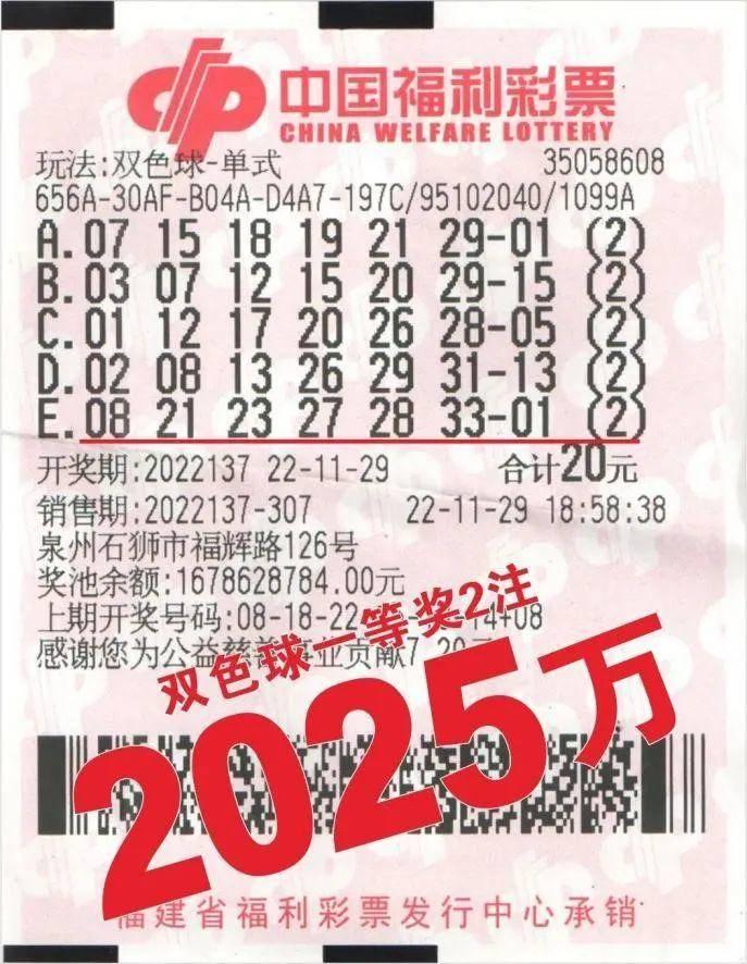 2025十二生肖49个码,十二生肖与彩票梦想，探寻2025年49个码的秘密