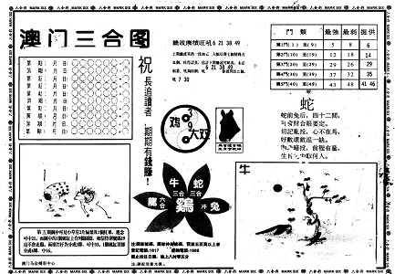 2025年管家婆一肖中特,关于2025年管家婆一肖中特，一种预测与未来的想象