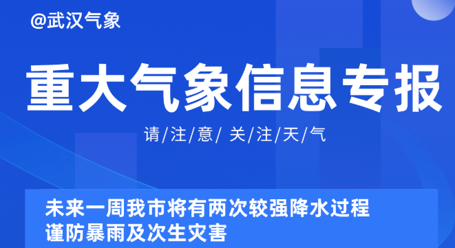 2025澳彩管家婆资料传真,揭秘澳彩管家婆资料传真，洞悉未来的彩票趋势与策略（2025展望）