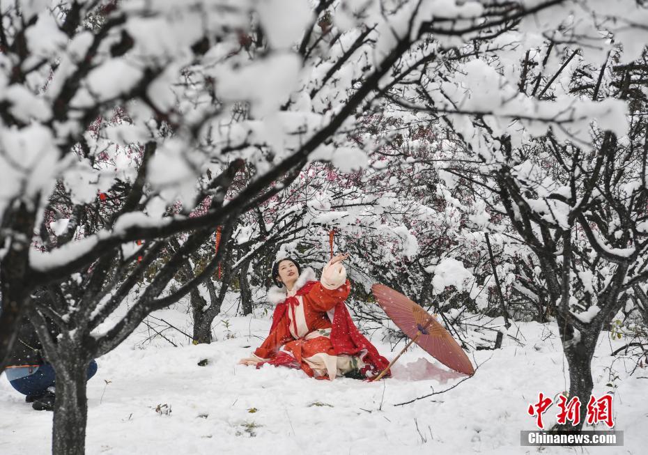 新澳好彩免费资料查询郢中白雪,新澳好彩免费资料查询与郢中白雪的交融之美