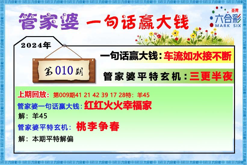 管家婆一码中一肖2025年,管家婆一码中一肖，揭秘未来之幸运密码（2025年展望）