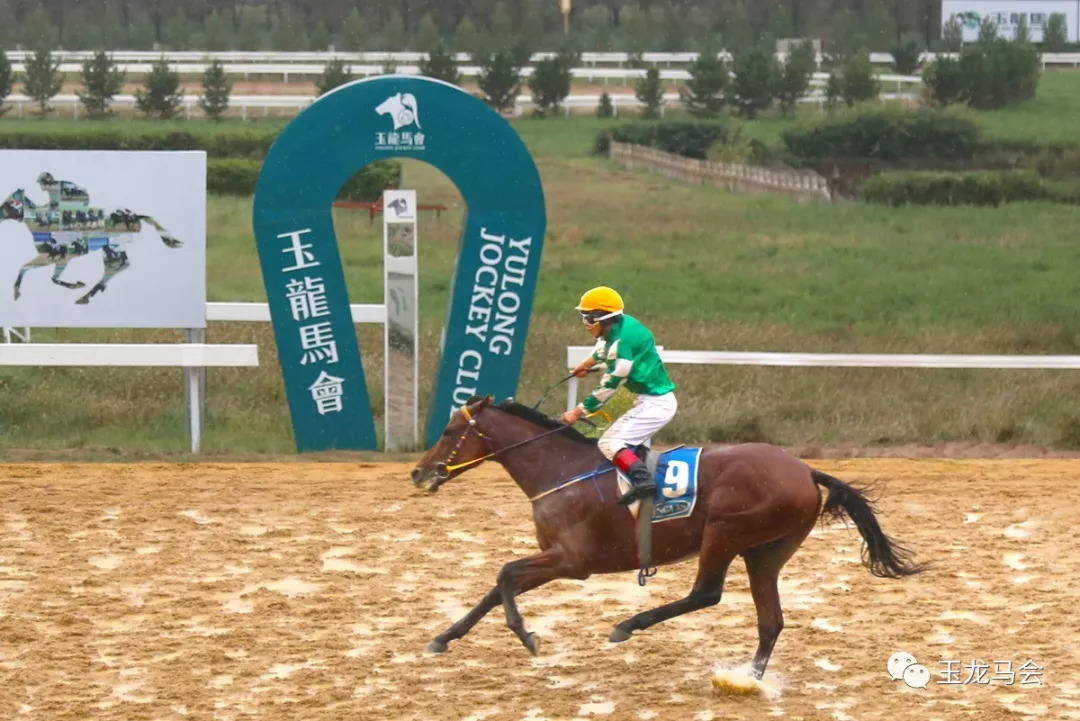 今晚澳门马出什么特马,今晚澳门马会出什么样的特马？探索马会神秘面纱下的秘密