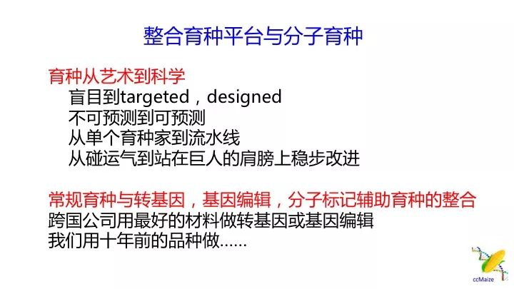 新澳精准资料免费提供,新澳精准资料，免费提供的力量与价值