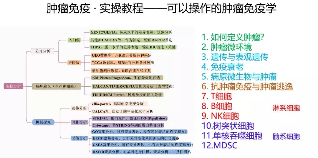 2025年今期2025新奥正版资料免费提供,2025年正版资料免费提供——探索未来的新奥视界