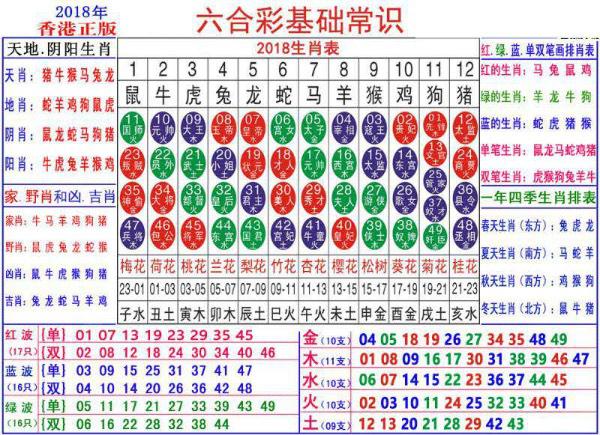 2024澳门正版资料大全资料生肖卡030期 07-15-30-31-33-36C：46,探索澳门正版资料大全——生肖卡与数字的秘密（第030期特别解析）