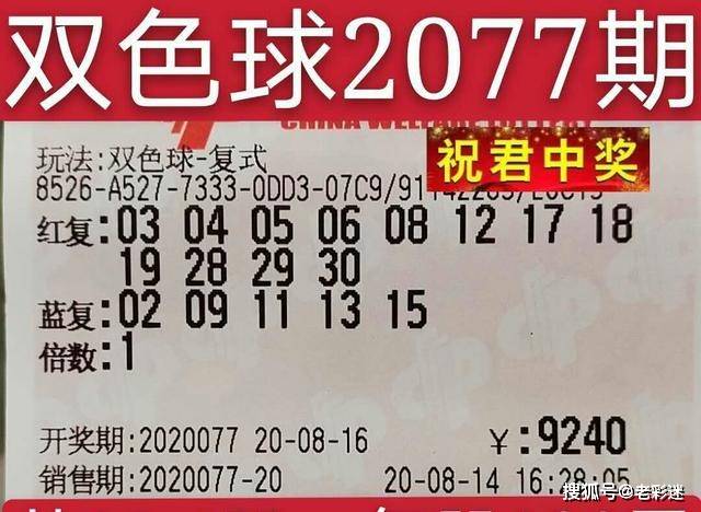 2025澳门特马今晚开网站104期 01-03-12-15-32-49G：04,澳门特马今晚开网站，探索彩票背后的文化魅力与数字故事（第104期深度解析）