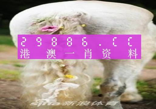 澳门火麒麟一肖一码2025056期 12-16-31-36-38-44D：49,澳门火麒麟一肖一码2025年第5期揭晓与深度解读，12-16-31-36-38-44与D，49的神秘数字组合